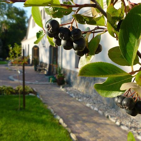 Aronia Park Villa Lubiechowa Buitenkant foto