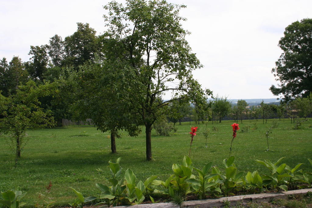 Aronia Park Villa Lubiechowa Buitenkant foto