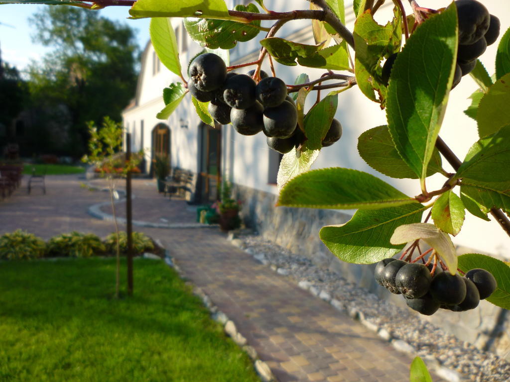 Aronia Park Villa Lubiechowa Buitenkant foto
